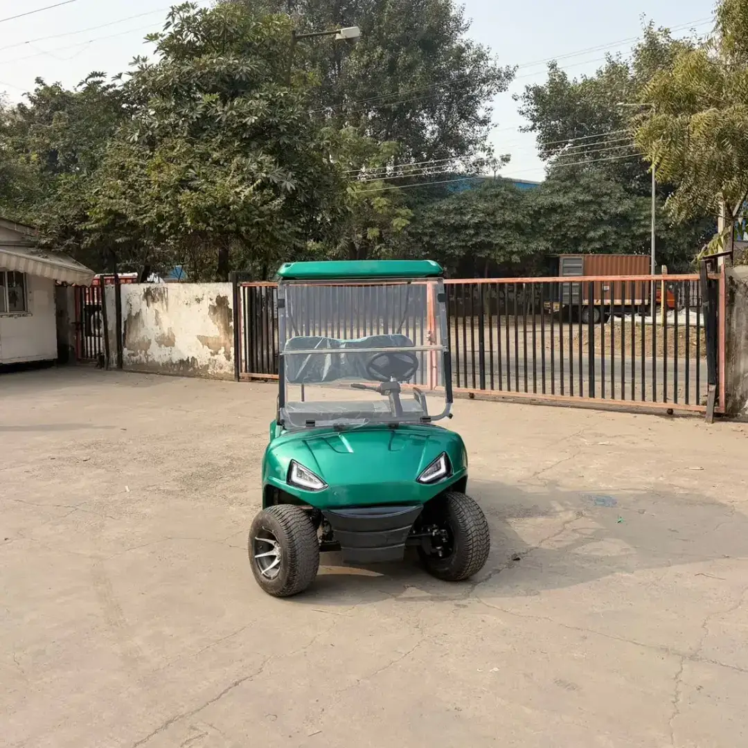 2 seater golf cart front